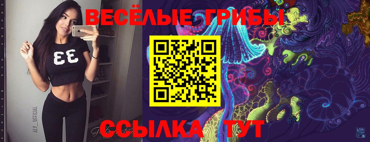 Псилоцибиновые грибы GOLDEN TEACHER Ялуторовск