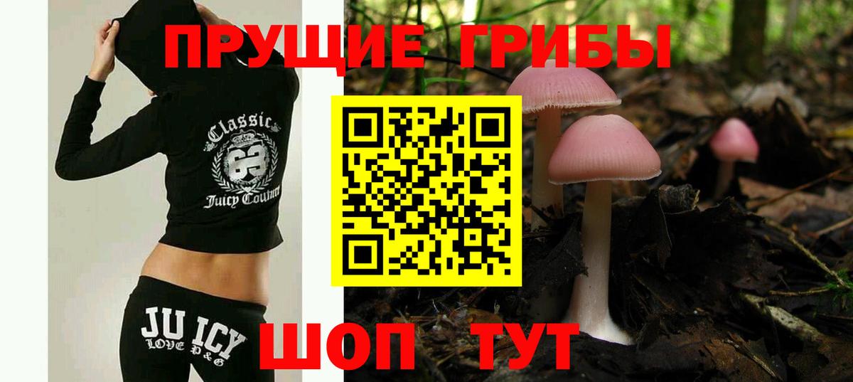 Псилоцибиновые грибы Psilocybe  Псилоцибиновые грибы прущие грибы  Ялуторовск  Вход с VPN 