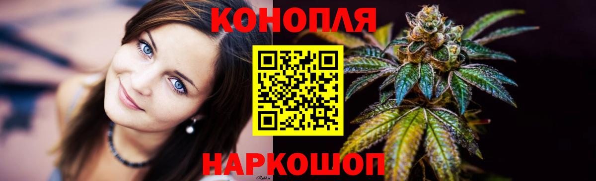 Каннабис гибрид  Каннабис планчик  Вход с VPN  МАРИХУАНА сатива  Ялуторовск  Бошки Шишки марихуана 